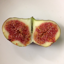 Fresh figs